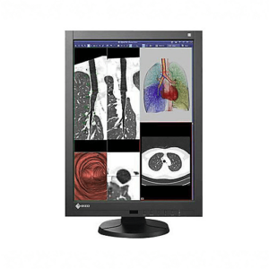 Eizo RadiForce RX240