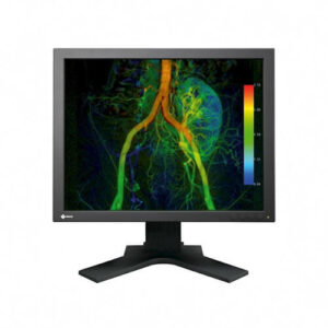 Eizo EX190S