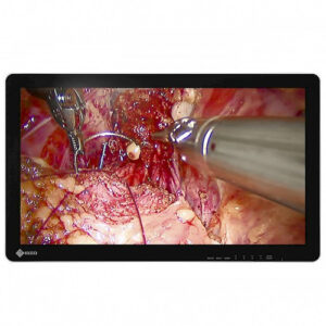 Eizo CuratOR EX2620-3D 26-inch 3D Surgical Display