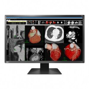 Eizo MX317W