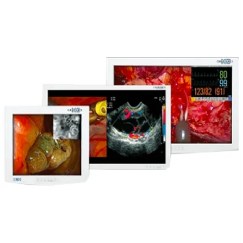 Endoscopy Displays