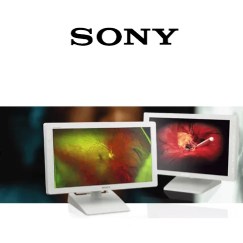 Sony Displays